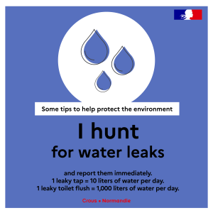 VA I hunt for water leaks INSTA