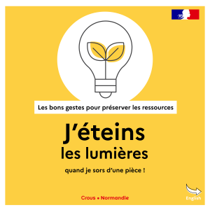 VF Jeteins les lumieresINSTA