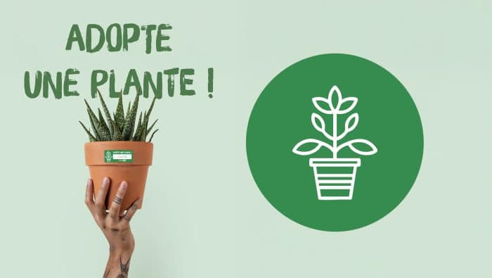 actu 2